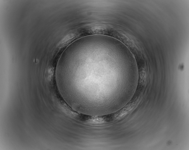 X0000099410278200805091227