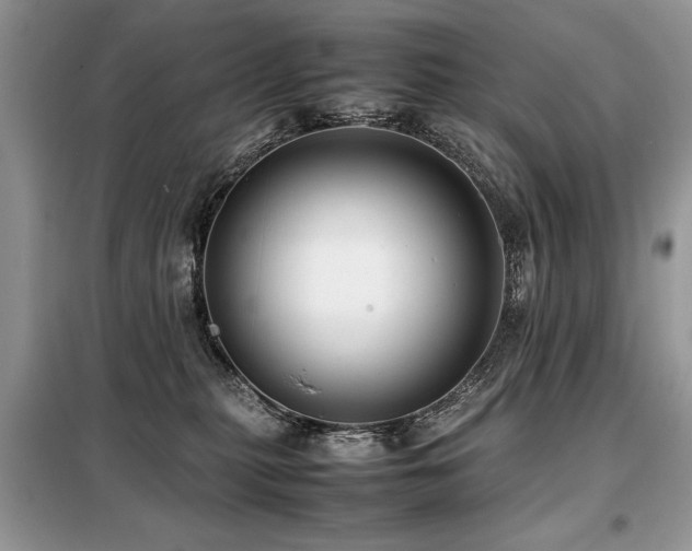 X0000099410279200805091227