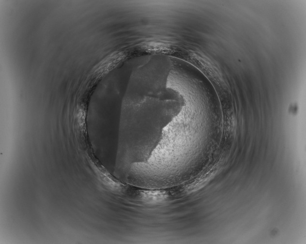 X0000099410281200805091227