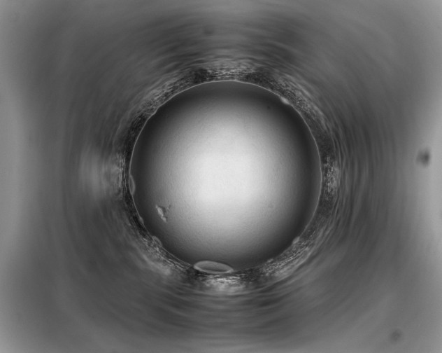 X0000099410283200805091227