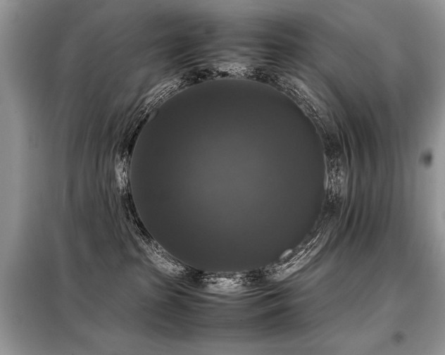 X0000099410285200805091227