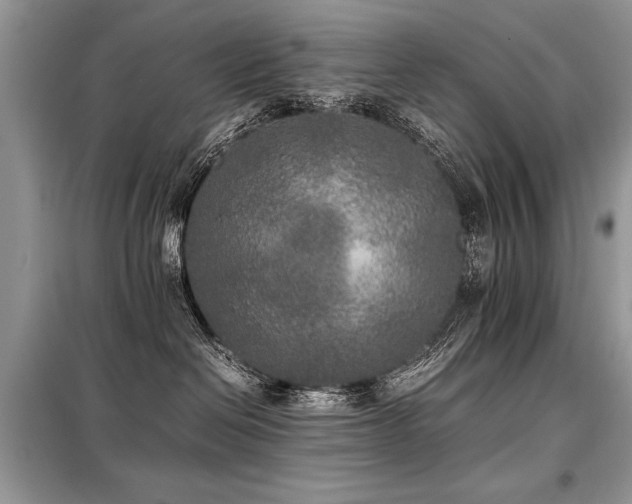 X0000099410286200805091227