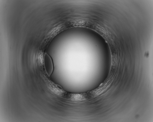 X0000099410287200805091227
