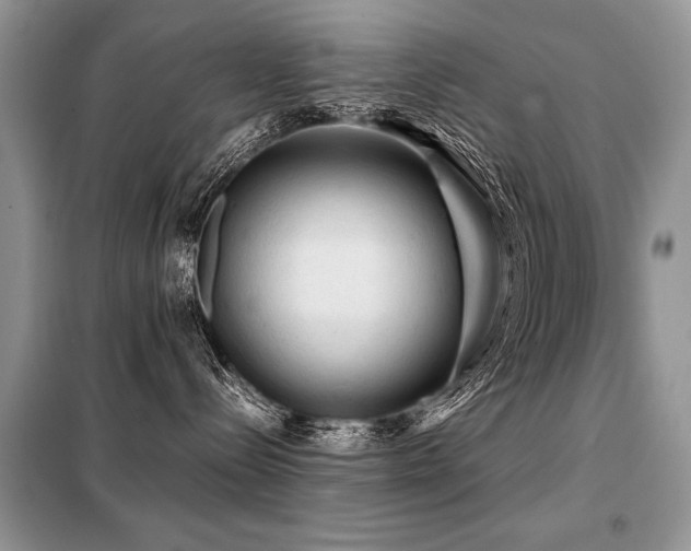 X0000099410288200805091227