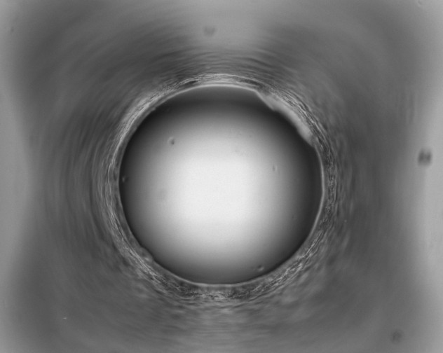 X0000099410289200805091226