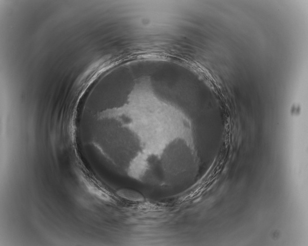 X0000099410290200805091226
