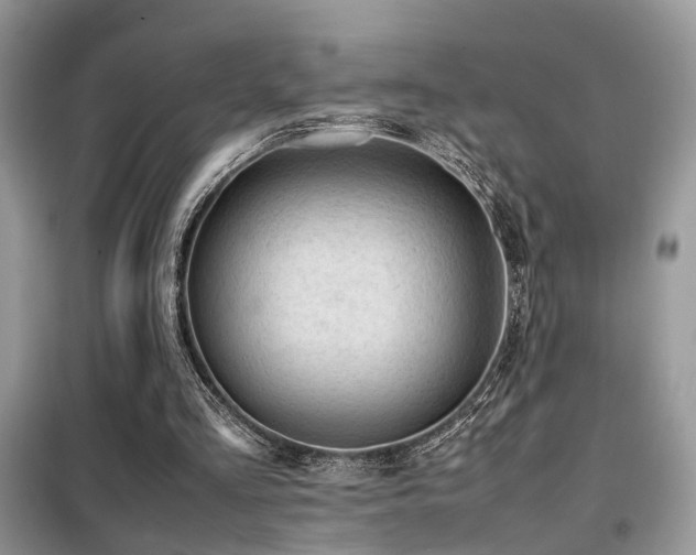 X0000099410293200805091226