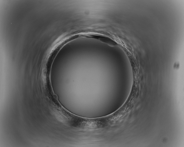 X0000099410295200805091226