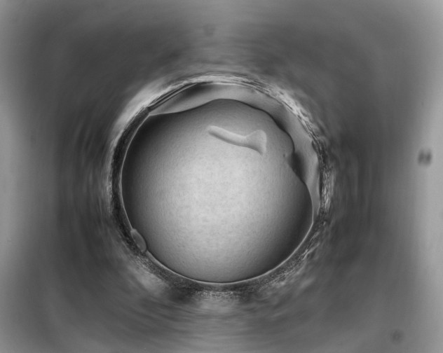X0000099410296200805091226
