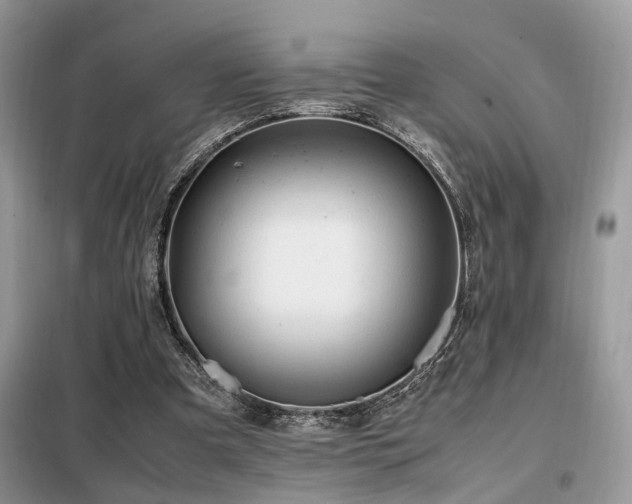 X0000099410297200805091226