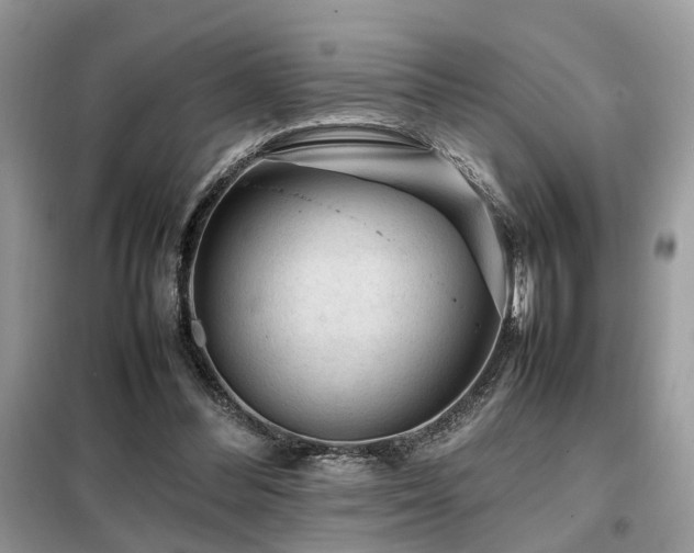 X0000099410300200805091226