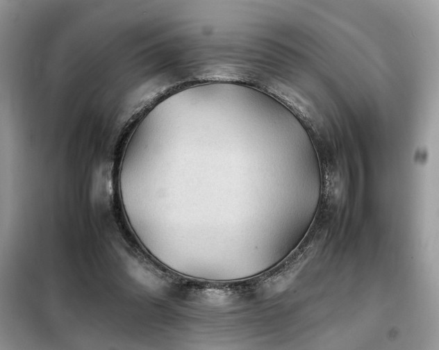 X0000099410302200805091226