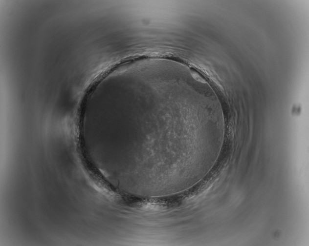 X0000099410303200805091226