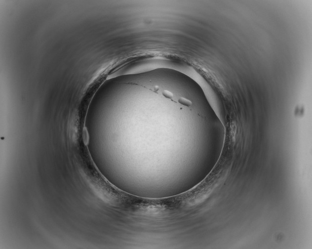 X0000099410304200805091226