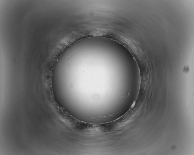 X0000099410307200805091226