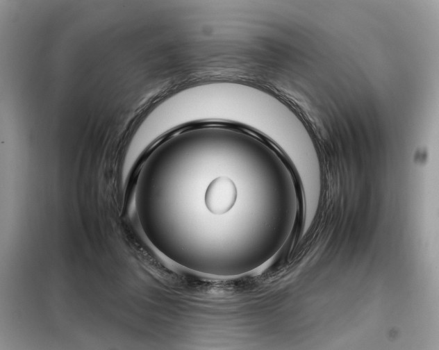 X0000099410308200805091226