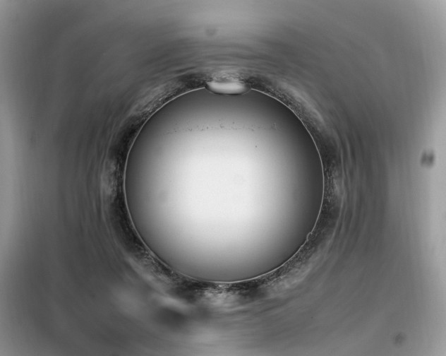 X0000099410311200805091226