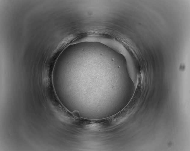 X0000099410312200805091225