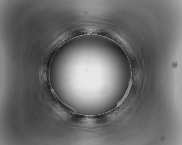 X0000099410313200805091225