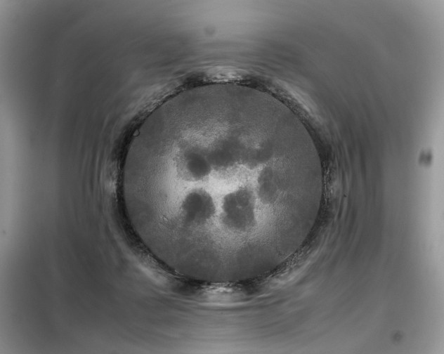 X0000099410315200805091225