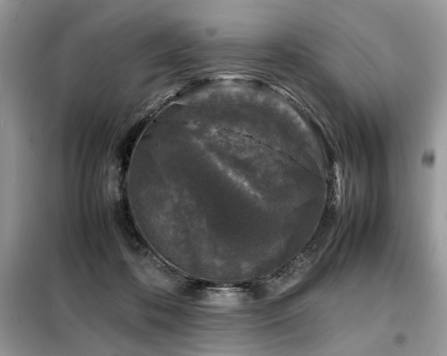 X0000099410316200805091225