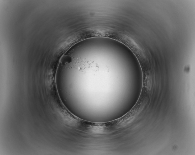 X0000099410318200805091225