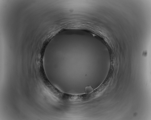 X0000099410319200805091225