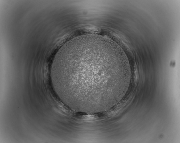 X0000099410320200805091225