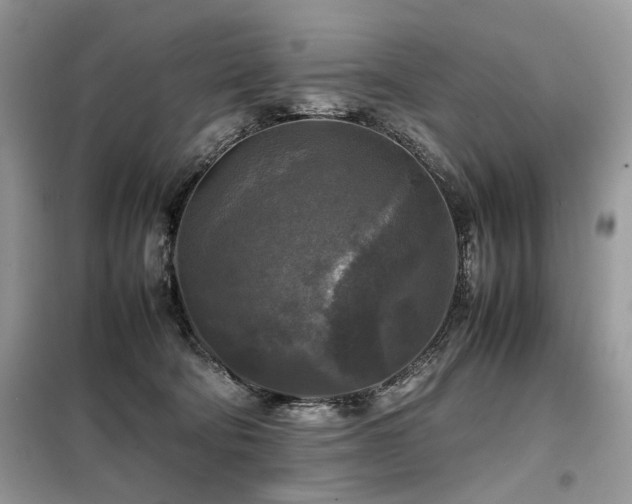 X0000099410322200805091225
