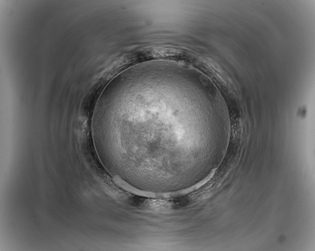 X0000099410327200805091225
