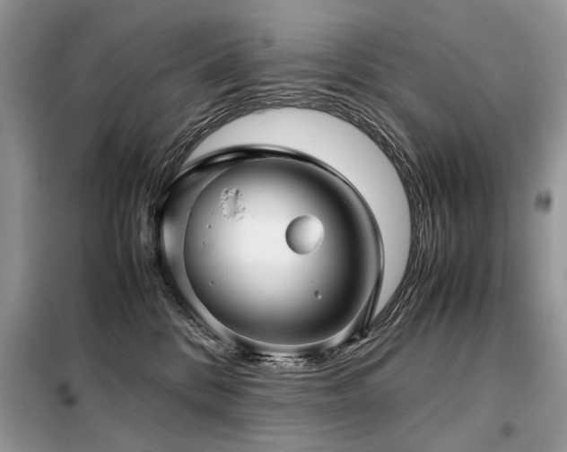 X0000099410328200805091225