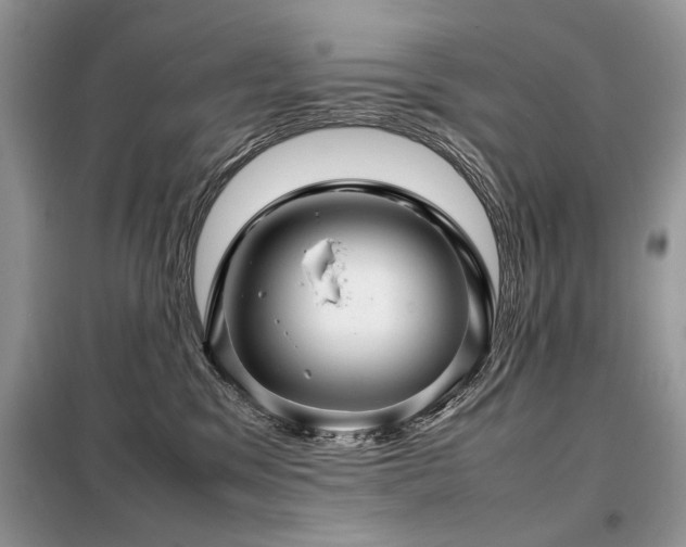 X0000099410329200805091225