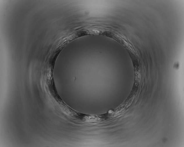 X0000099410331200805091225