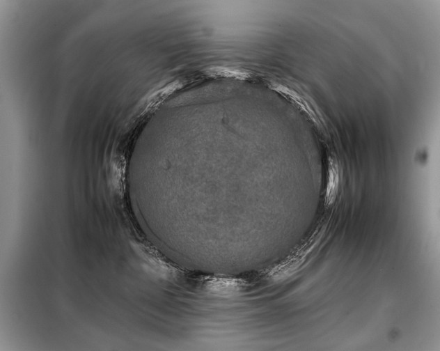 X0000099410332200805091225