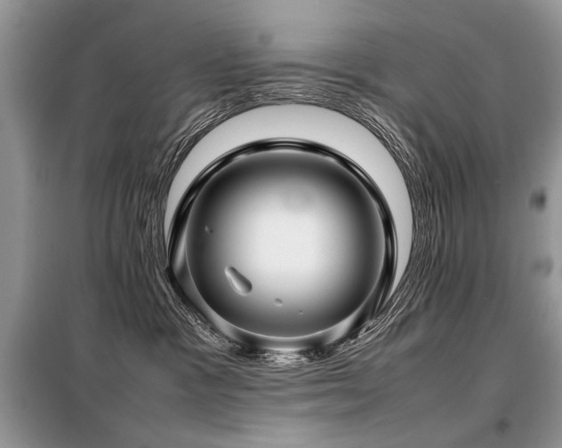 X0000099410333200805091225