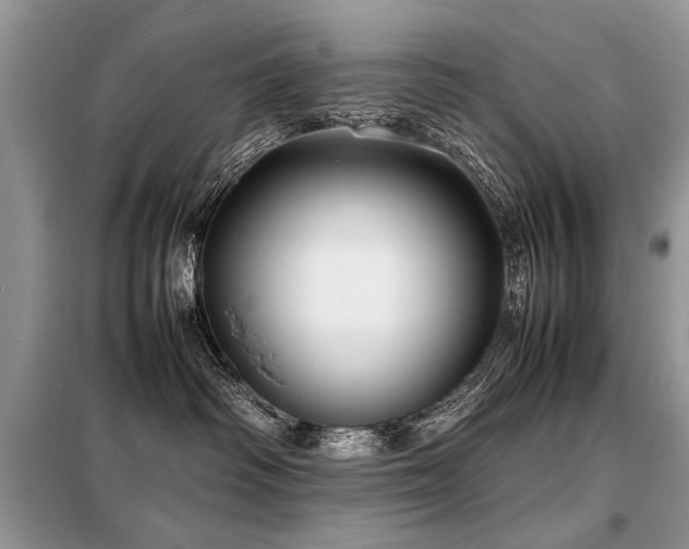 X0000099410334200805091225