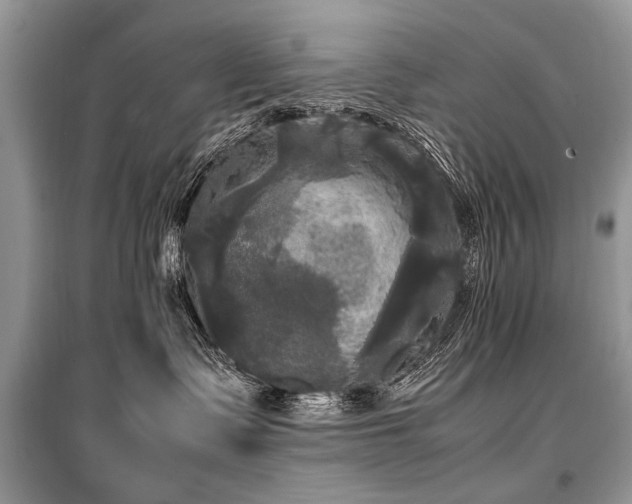 X0000099410335200805091225