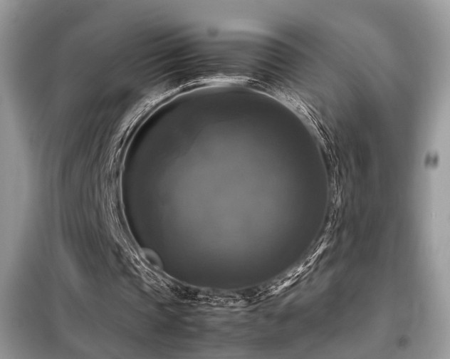 X0000099410337200805091224