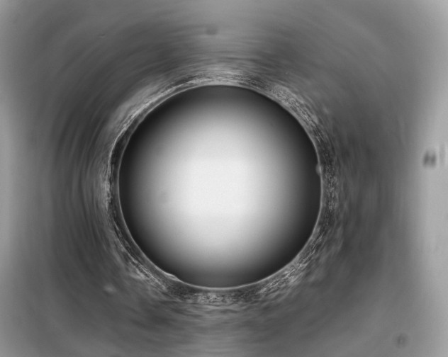 X0000099410338200805091224