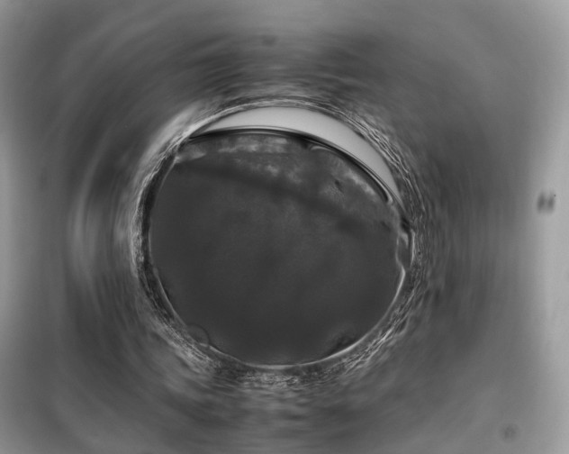 X0000099410339200805091224