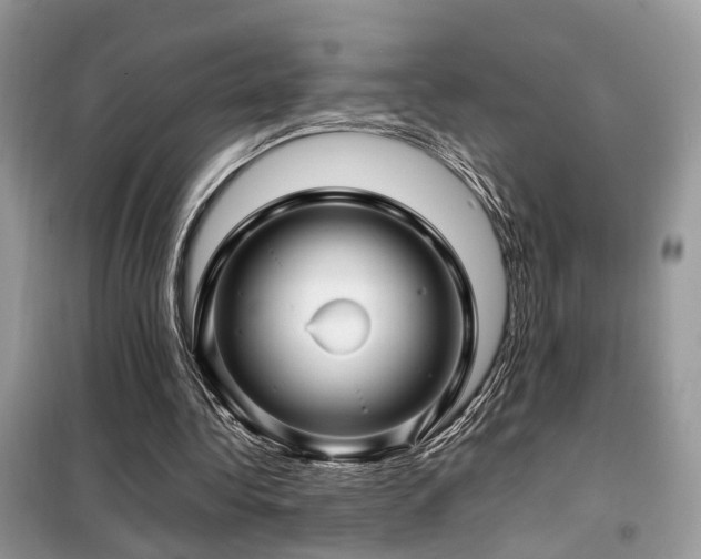 X0000099410340200805091224