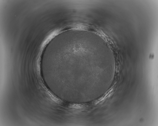 X0000099410341200805091224