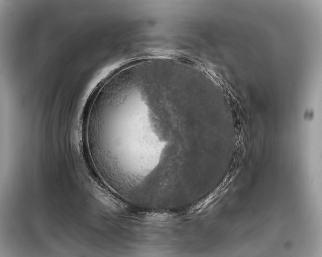 X0000099410342200805091224
