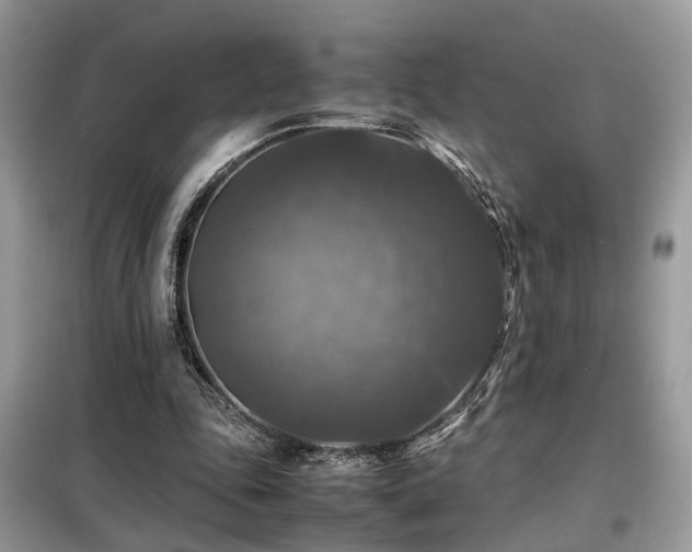 X0000099410343200805091224