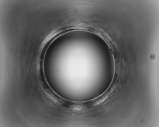 X0000099410344200805091224