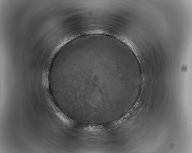 X0000099410345200805091224
