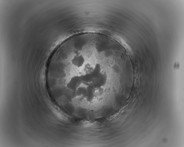 X0000099410346200805091224