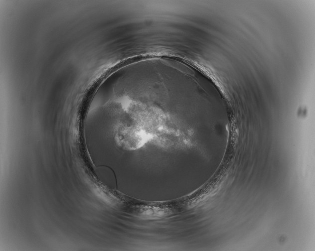 X0000099410347200805091224