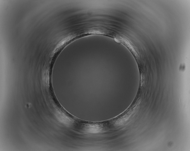 X0000099410349200805091224