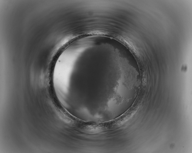 X0000099410351200805091224